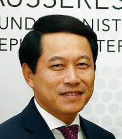viet nam da the hien duoc vai tro dan dat trong asean hinh 1