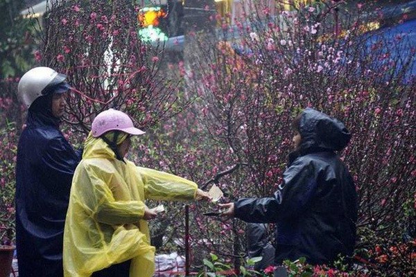 thoi tiet tet nguyen dan canh ty 2020: ha noi ret dam hinh 1