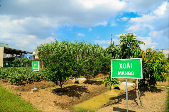 ajinomoto viet nam – doanh nghiep khong phat thai hinh 2