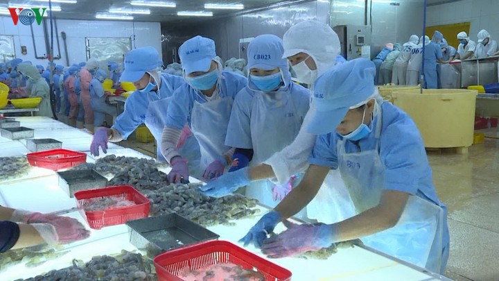 dai dich covid-19: nhieu dn van kien cuong chong troi "tu minh cuu minh" hinh 1