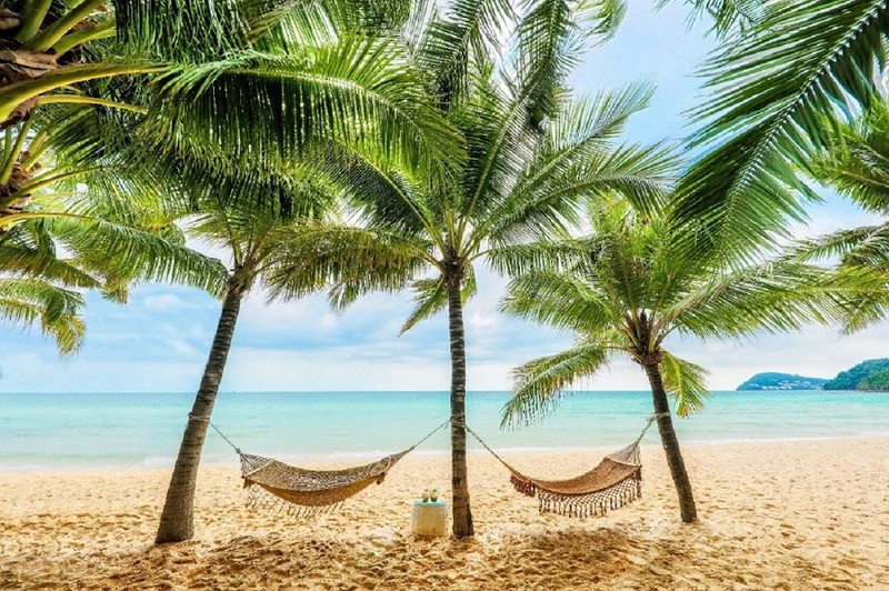 trai nghiem thien duong mua he nhiet doi tai nam phu quoc  hinh 1