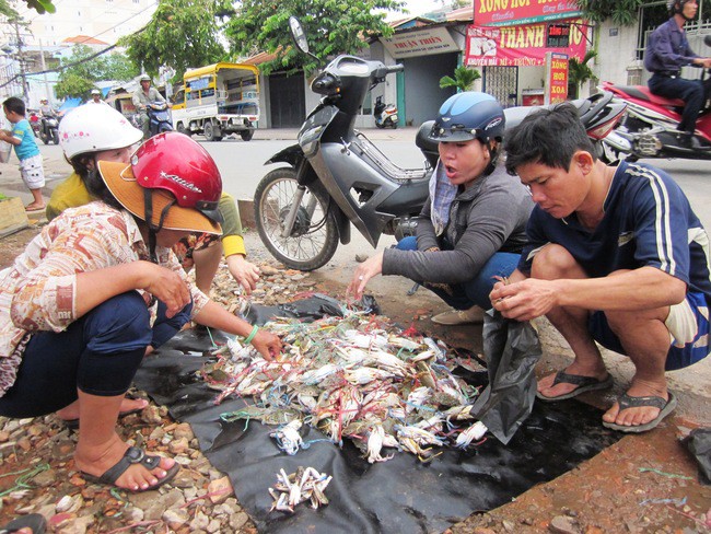ghe xanh "sieu re" ban day le duong o tp.hcm hinh 5