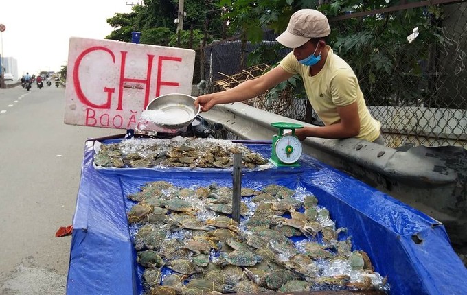 ghe xanh "sieu re" ban day le duong o tp.hcm hinh 1