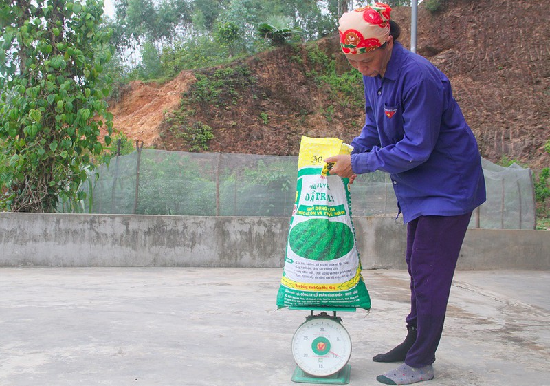 kiem tien trieu nho len rung hai loai qua 'than duoc' be ti hinh 12