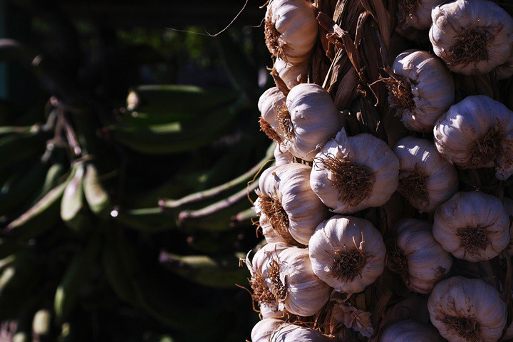 can canh cac ganh hang rong o dat nuoc cuba xinh dep vung caribe hinh 6
