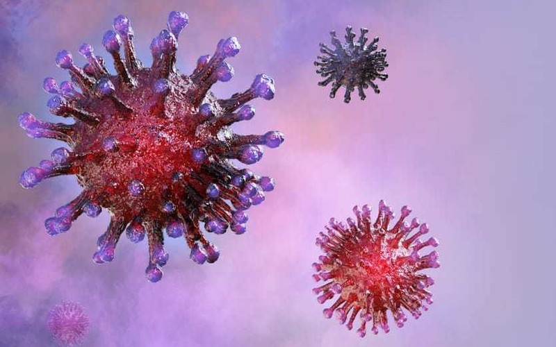 hong kong phat minh thiet bi xet nghiem nhanh virus corona moi hinh 1