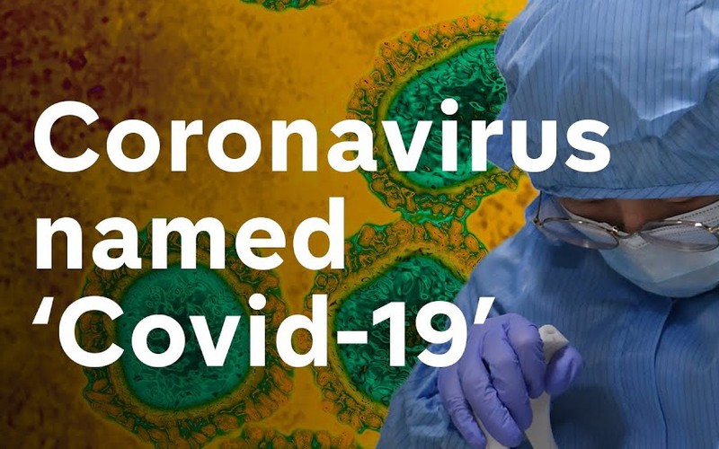 ly giai viec who dat ten "covid-19" cho virus corona moi hinh 1