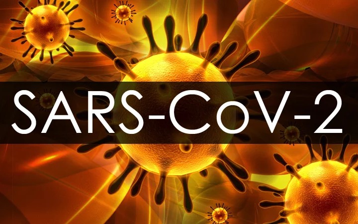 virus sars-cov-2 co the gay benh viem mang nao hinh 1