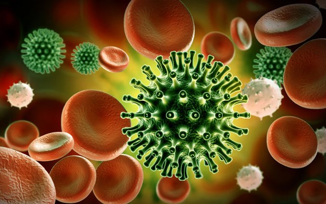 who tuyen bo bo gen sars-cov-2 khong giong loai virus nhan tao hinh 1