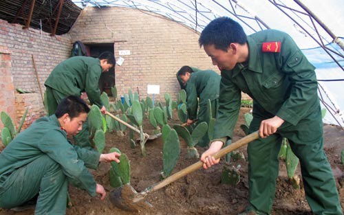 my trung phat them dai cong ty cua trung quoc lien quan tan cuong hinh 1