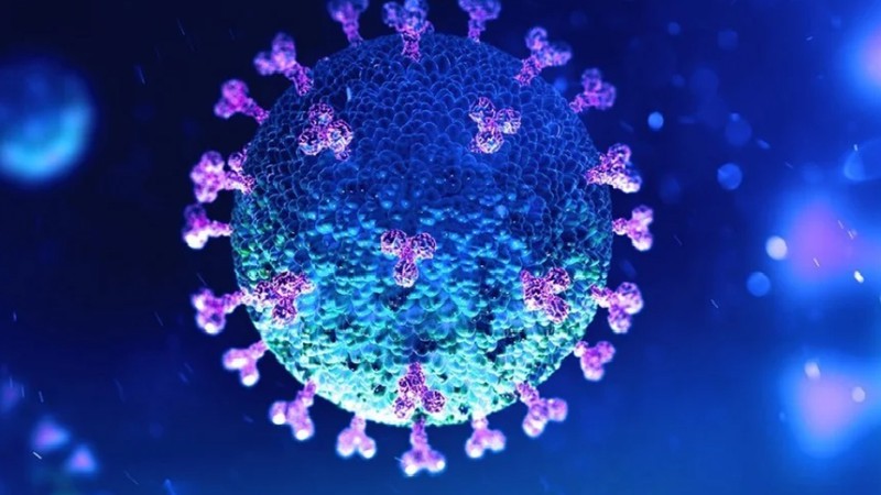 nha khoa hoc nga: virus sars-cov-2 rat thong minh hinh 1
