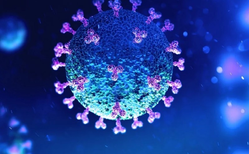 tinh bao my bac bo thong tin virus sars-cov-2 do con nguoi tao ra hinh 1