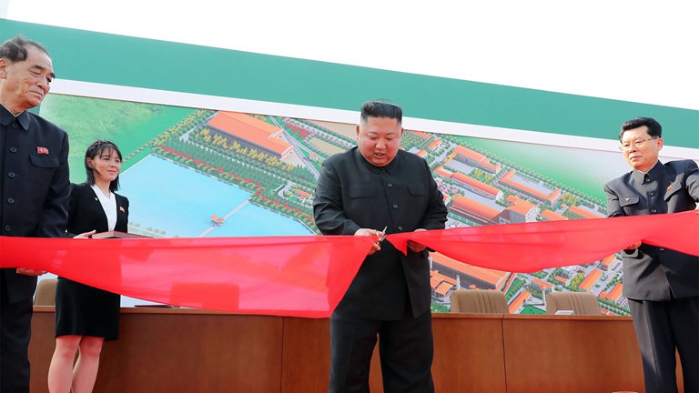 tinh bao han quoc thong tin ve tinh hinh suc khoe kim jong-un hinh 1