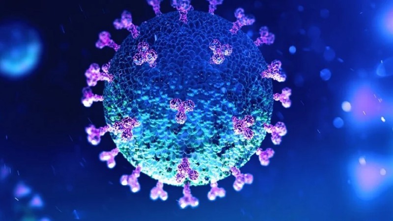 virus sars-cov-2 co the la "vat lai" hinh 1