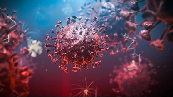 vi sao nguoi nhiem virus sars-cov 2 bi mat khuu giac? hinh 1
