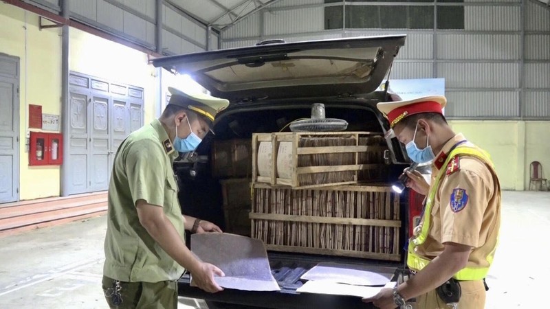 lang son bat giu so trung con trung khong nguon goc xuat xu hinh 1