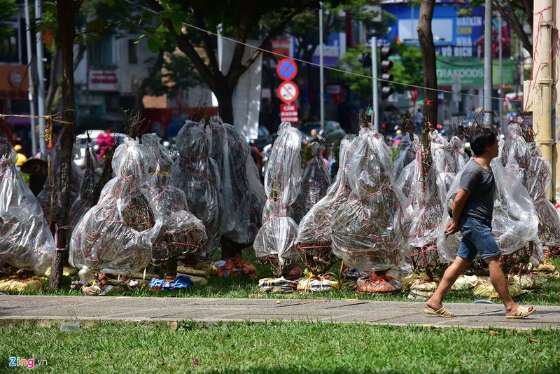 tieu thuong dap bo, quyet khong cho hoa tet e hinh 6