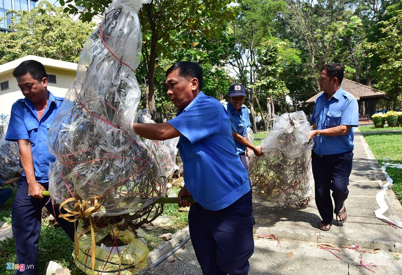 tieu thuong dap bo, quyet khong cho hoa tet e hinh 7