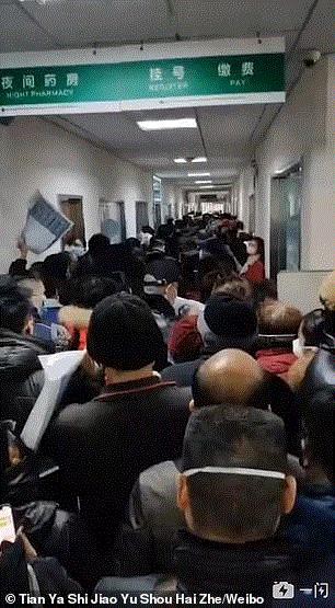 benh nhan un u o benh vien giua dich 'viem phoi vu han" hinh 2