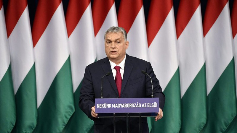 hungary se trong them 10 cay xanh moi khi co mot em be chao doi hinh 1