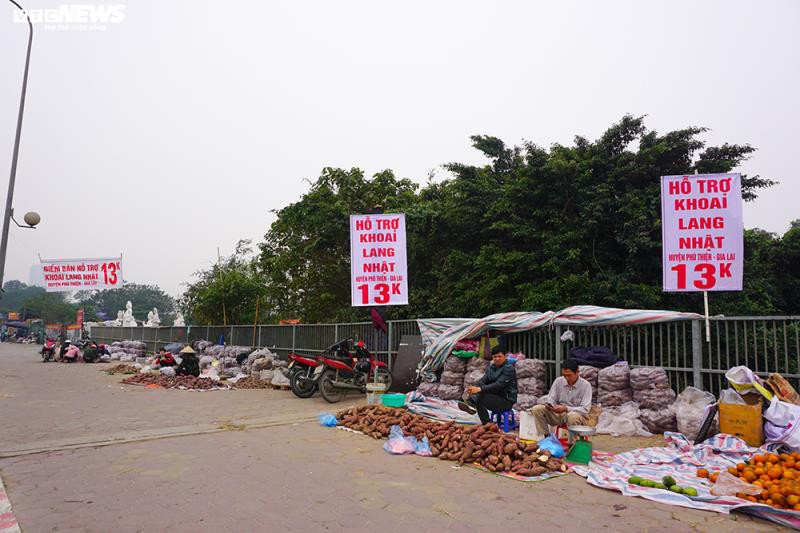 khoai lang ngon ngang tren via he ha noi, cho khach "giai cuu" hinh 1