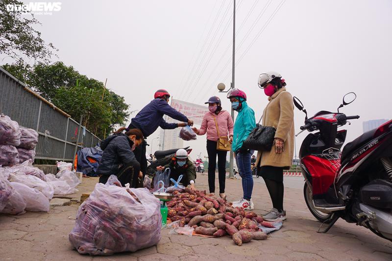 khoai lang ngon ngang tren via he ha noi, cho khach "giai cuu" hinh 2