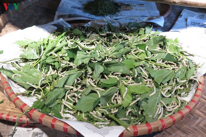 lam dong thieu hut nguon trung giong tam hinh 1