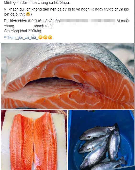 den luot ca hoi sa pa, hau keu goi duoc "giai cuu" hinh 2