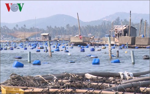 tac dau ra nganh thuy san do "bao" dich, ngu dan lao dao hinh 1