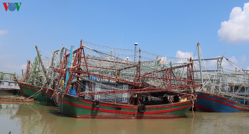 tac dau ra nganh thuy san do "bao" dich, ngu dan lao dao hinh 2