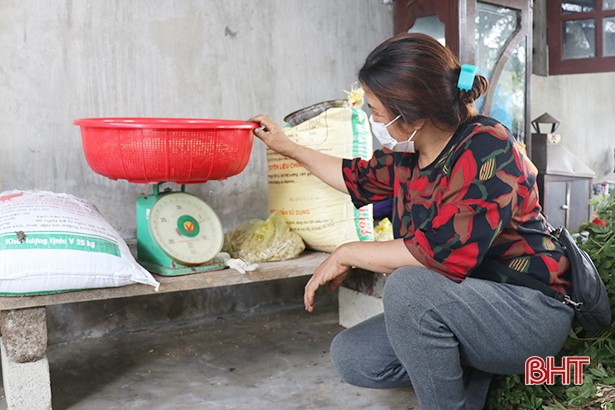 thu hoach lac som, nong dan ha tinh phan khoi vi duoc gia hinh 4