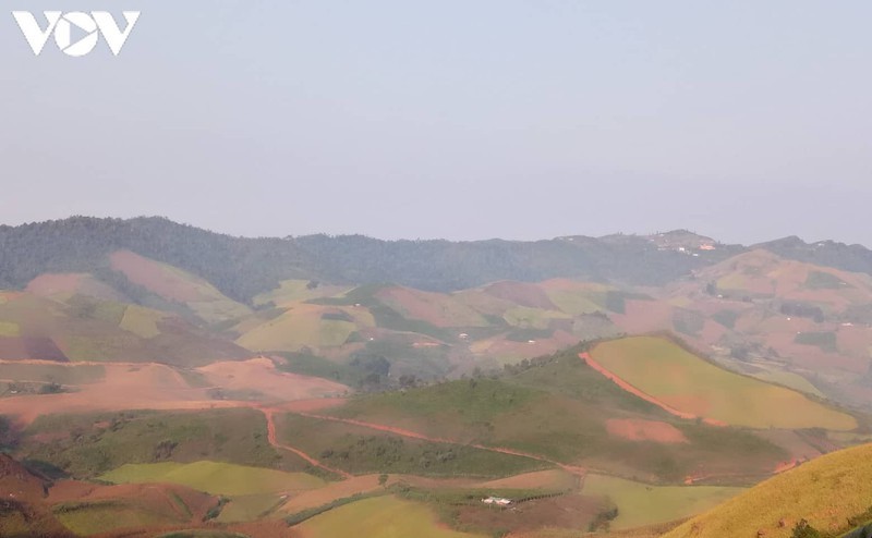 vung vang tren tuyen dau phong chong dich noi bien gioi son la hinh 1