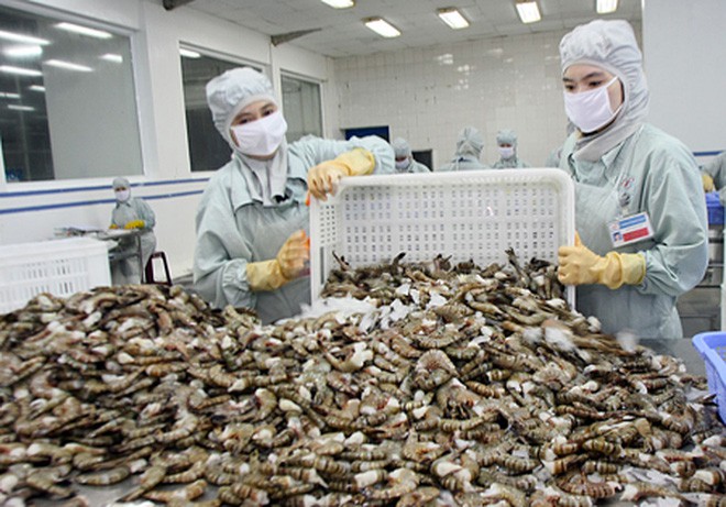 xuat khau tom viet nam duoc du bao thuan loi hon trong nam 2020 hinh 1