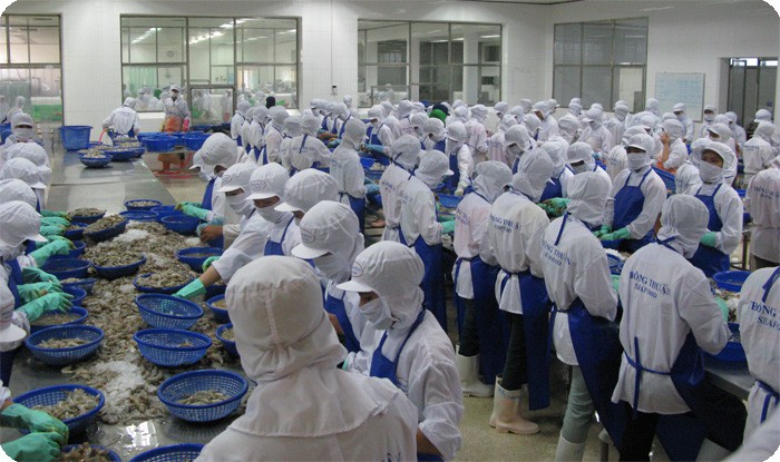 giua dich covid-19, doanh nghiep lo thieu tom xuat khau hinh 1