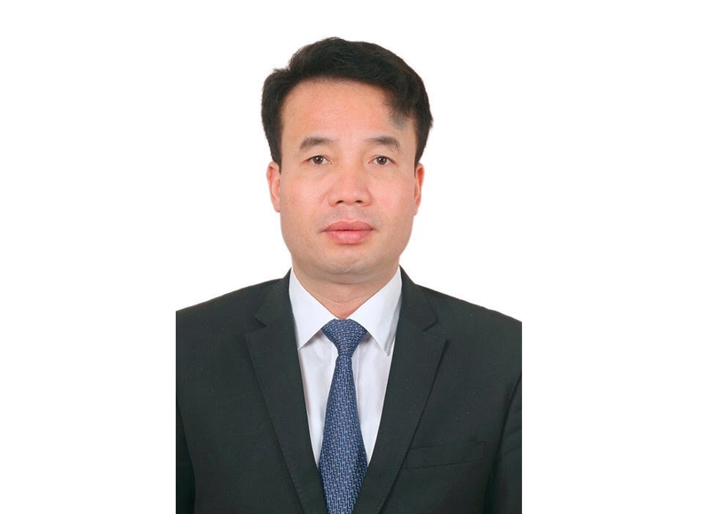 bao hiem xa hoi viet nam co tan tong giam doc hinh 1