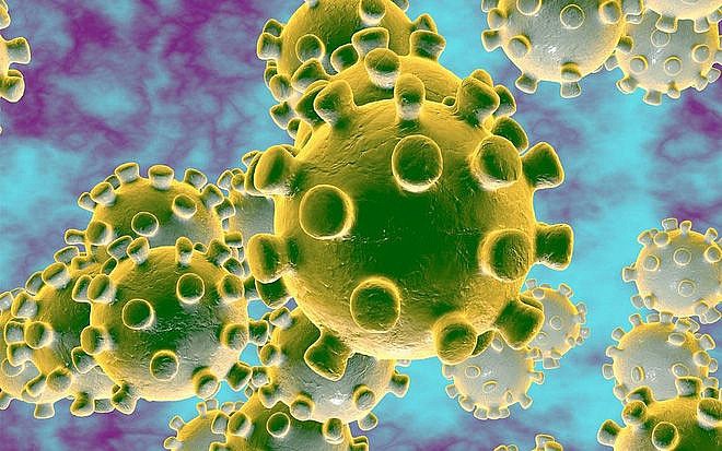 gioi khoa hoc gap rut tim cach bao che vaccine chong virus corona hinh 1