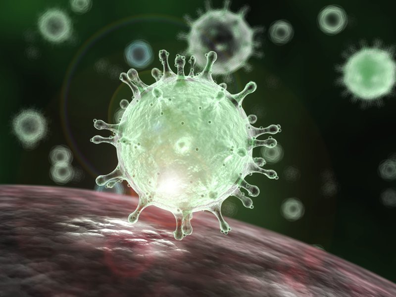 brazil phat hien truong hop dau tien nghi nhiem virus sars-cov-2 hinh 1