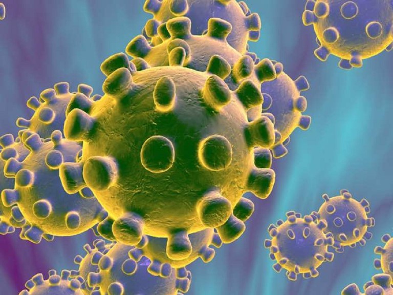 virus sars-cov-2 co the song sot khi tiep xuc lau voi nhiet do cao hinh 1