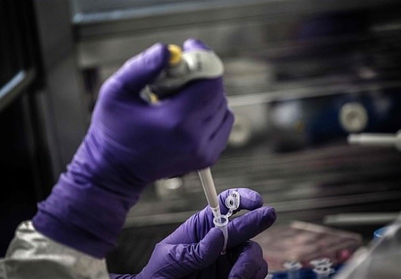 australia thu nghiem vaccine phong chong covid-19 tren chon  hinh 1