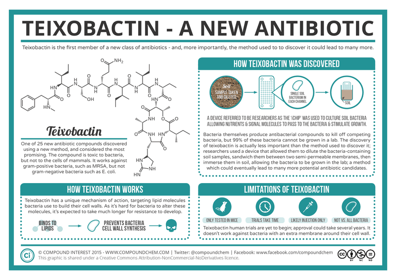 teixobactin giup dieu tri bien chung cua benh covid-19 hinh 1
