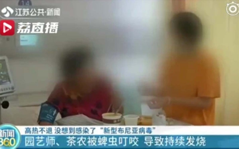 trung quoc: 7 nguoi tu vong do nhiem virus bunya chung moi hinh 1