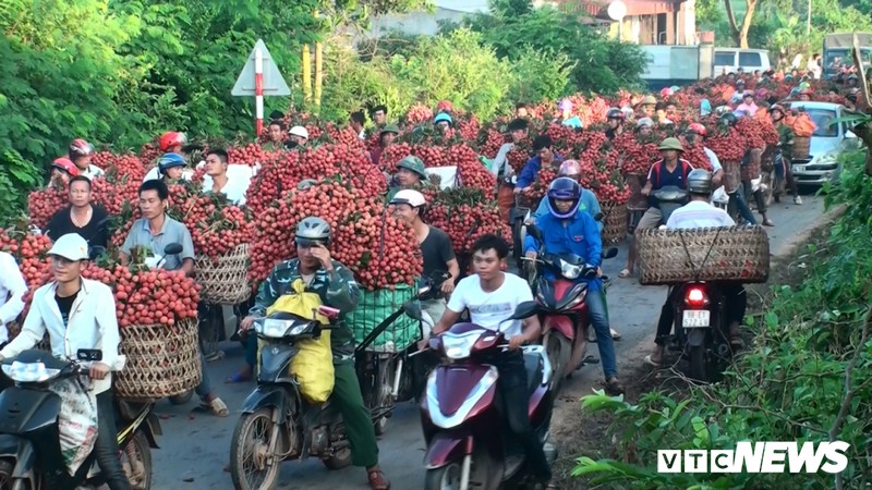 cho vung cao bac giang tac duong hang cay so do dan cho vai ra ban hinh 1