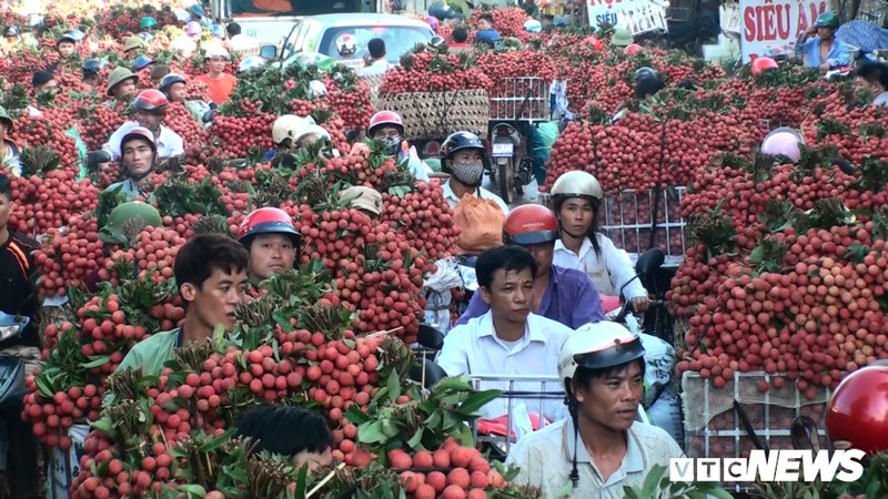 cho vung cao bac giang tac duong hang cay so do dan cho vai ra ban hinh 2