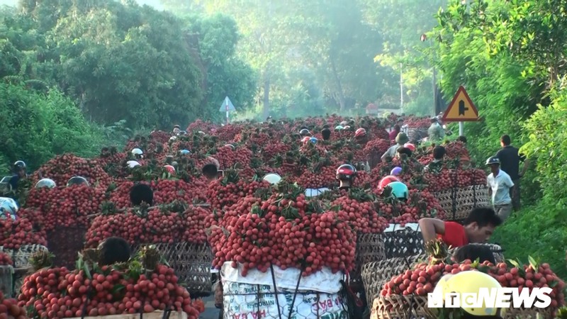 cho vung cao bac giang tac duong hang cay so do dan cho vai ra ban hinh 3
