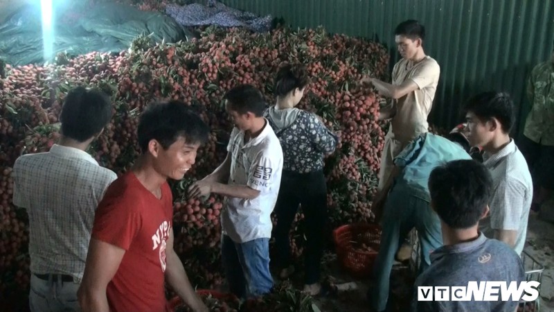 cho vung cao bac giang tac duong hang cay so do dan cho vai ra ban hinh 8