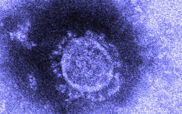nhat ban co lap thanh cong virus corona hinh 1