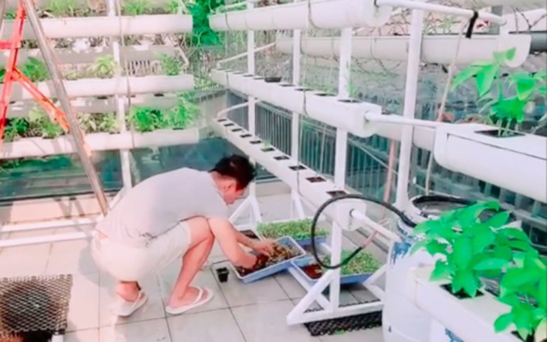 nghi tranh dich, cac "sao" viet o nha lam nong, thu hoach nong san hinh 7