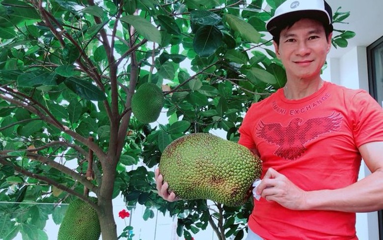 nghi tranh dich, cac "sao" viet o nha lam nong, thu hoach nong san hinh 8