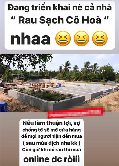 nghi tranh dich, cac "sao" viet o nha lam nong, thu hoach nong san hinh 13
