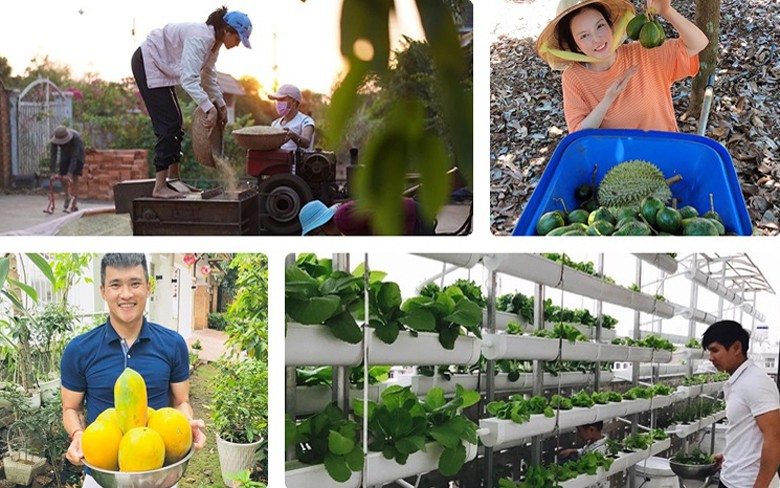 nghi tranh dich, cac "sao" viet o nha lam nong, thu hoach nong san hinh 1